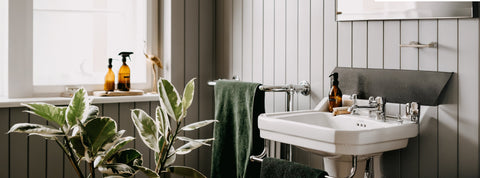 Eco-Friendly Cleaning Solutions for Your Home