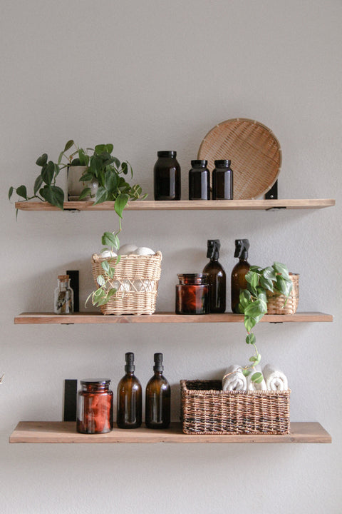 How to Mist Houseplants: A Simple Guide to Healthy Indoor Plants